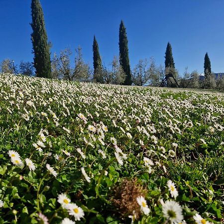Agriturismo Val Della Pieve 安吉亚里 外观 照片