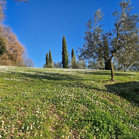 Agriturismo Val Della Pieve 安吉亚里 外观 照片