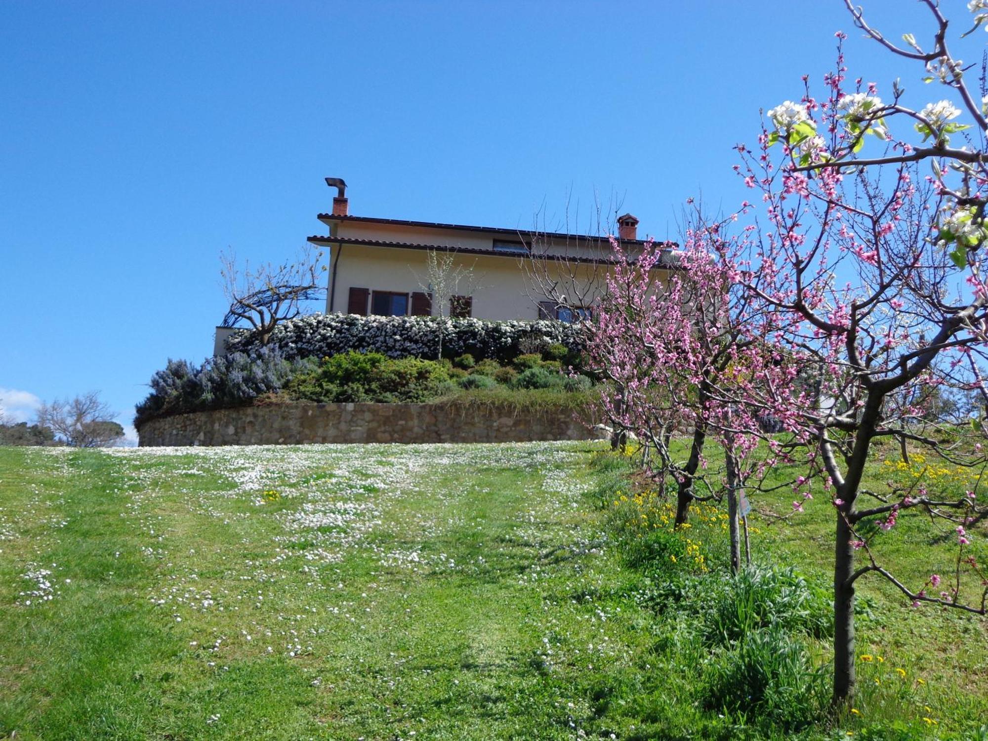 Agriturismo Val Della Pieve 安吉亚里 外观 照片
