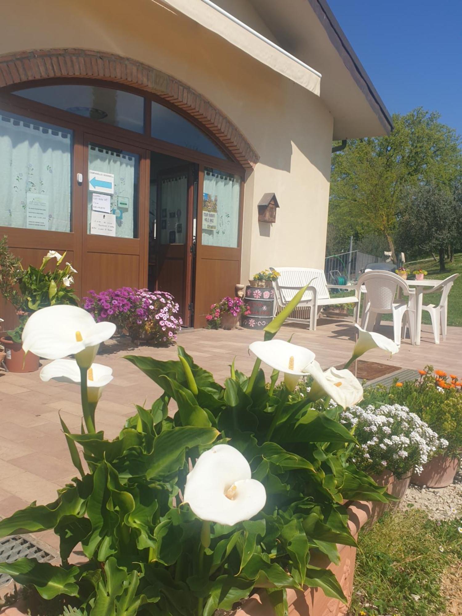 Agriturismo Val Della Pieve 安吉亚里 外观 照片