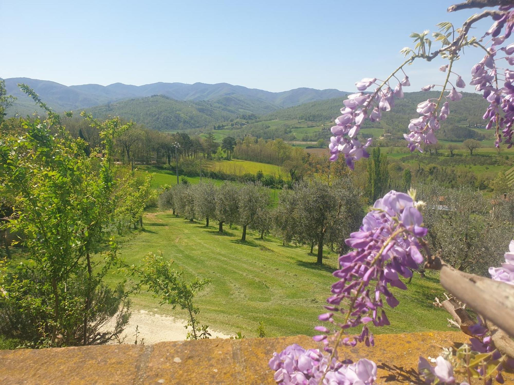 Agriturismo Val Della Pieve 安吉亚里 外观 照片