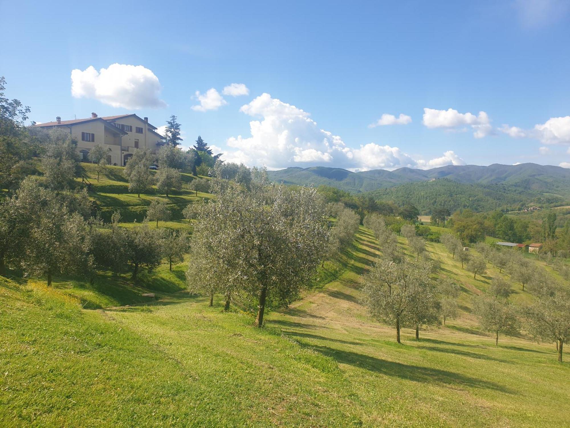Agriturismo Val Della Pieve 安吉亚里 外观 照片
