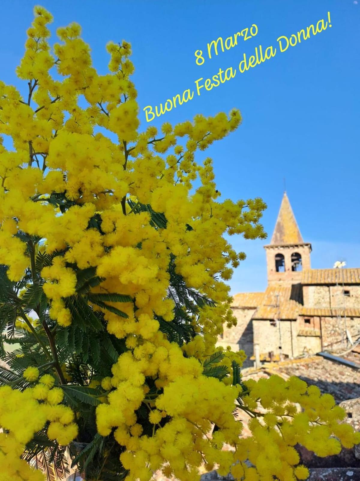 Agriturismo Val Della Pieve 安吉亚里 外观 照片