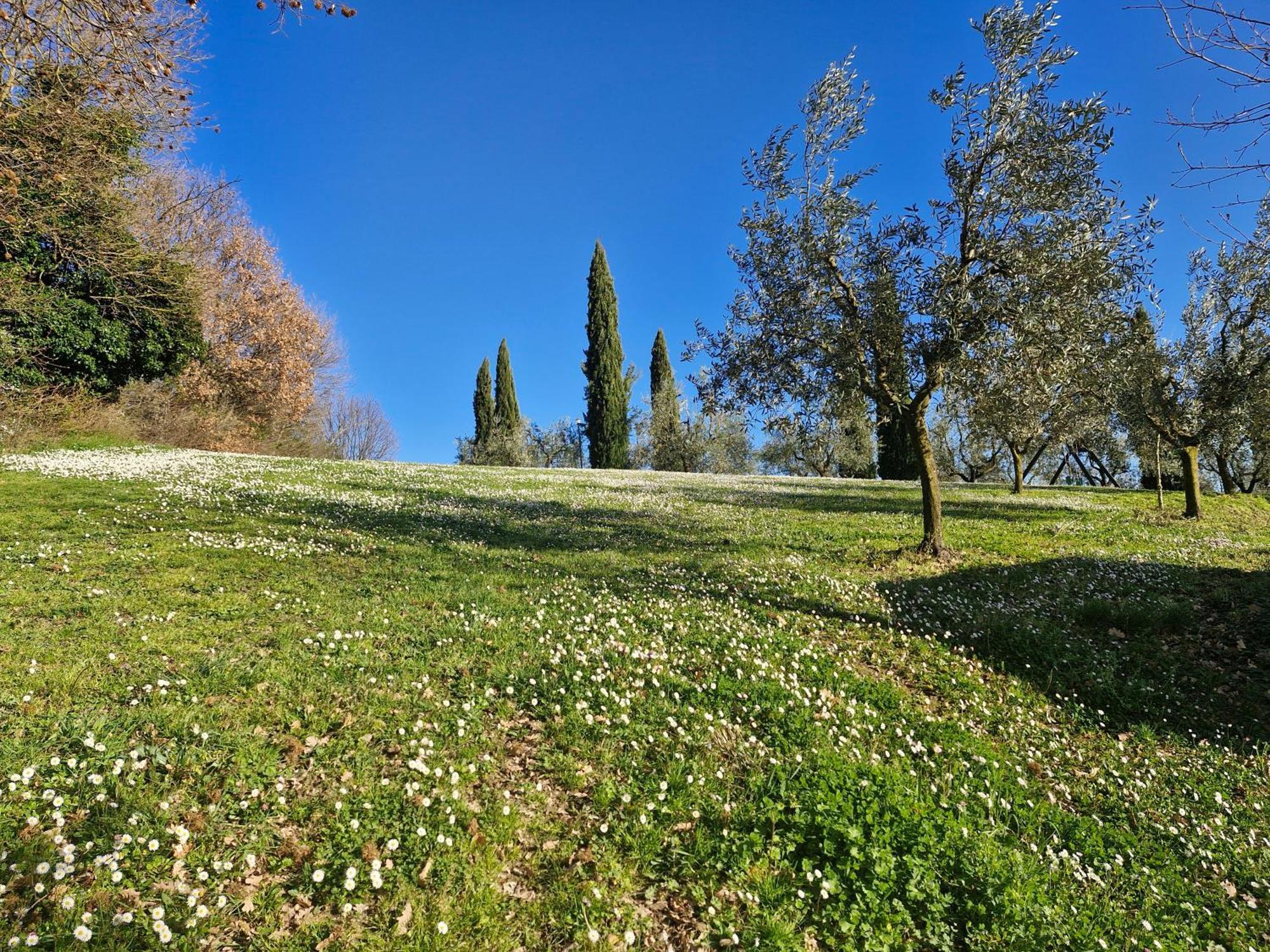 Agriturismo Val Della Pieve 安吉亚里 外观 照片